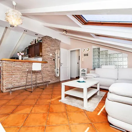 Camelia Rovinj