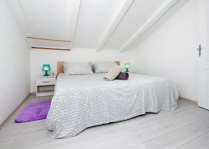 Camelia Apartment